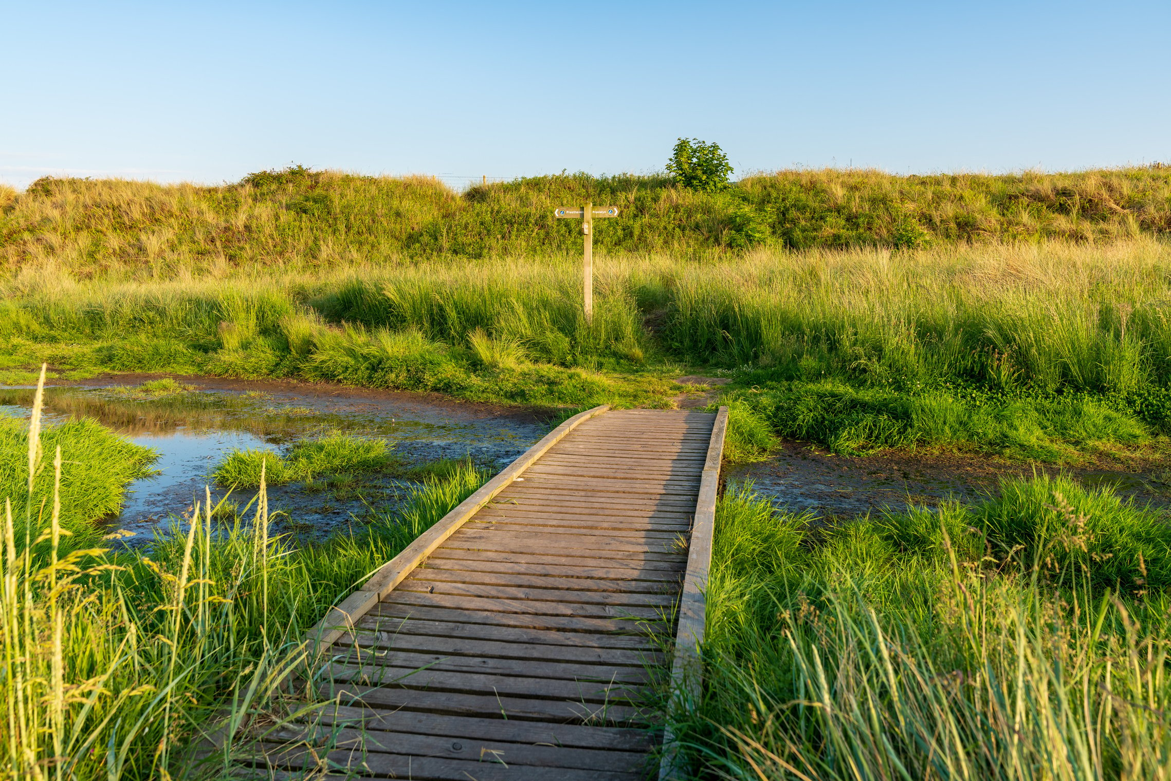 Footpath over the Gronant Dunes, Clwyd, Wales, UK